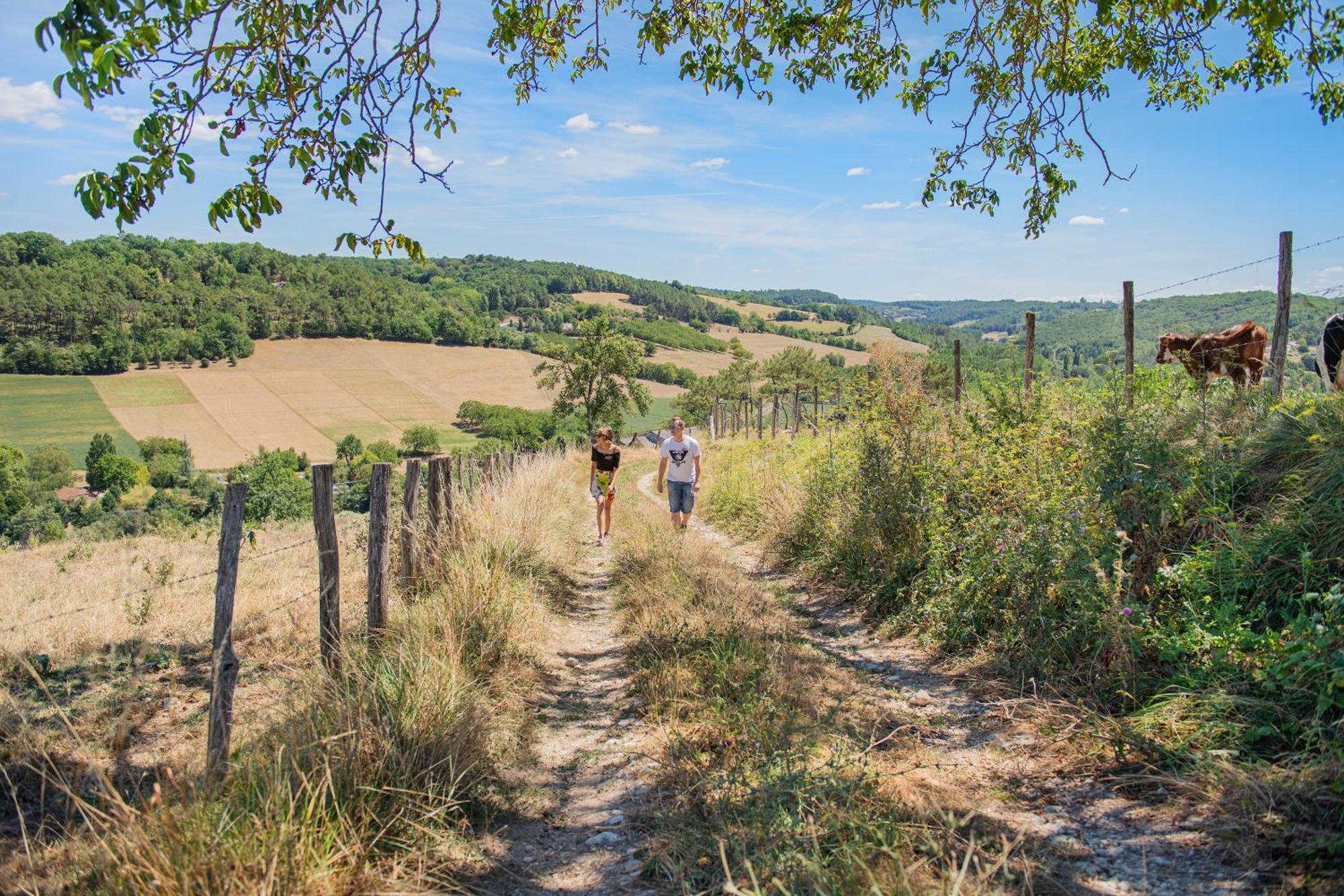 Rcn Le Moulin De La Pique 5* Belvès